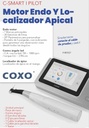 Motor endo y  localizador apical C-SMART I PILOT - Coxo