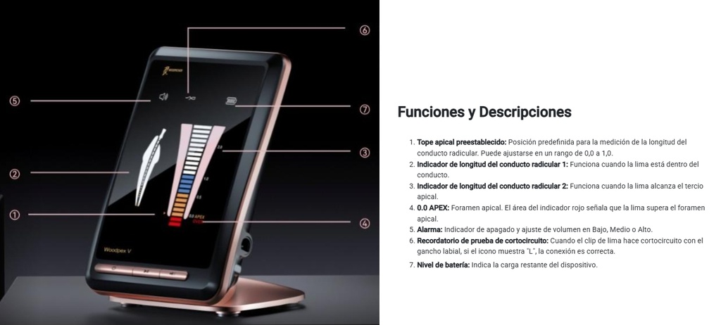 Localizador Apical Woodpex V - Woodpecker 