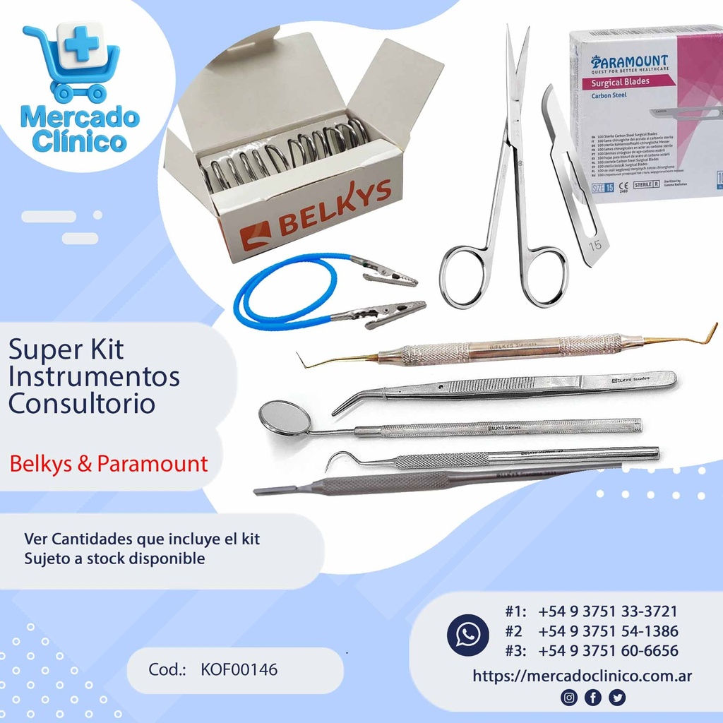 Canasta AL COSTO - Belkys 