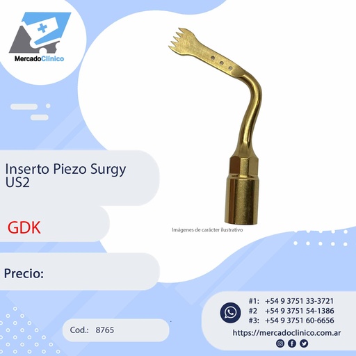 [8765] Inserto Piezo Surgy US2 - GDK