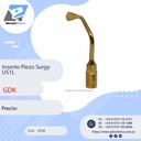 Inserto Piezo Surgy US2 - GDK (copia)