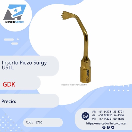 [8766] Inserto Piezo Surgy US2 - GDK