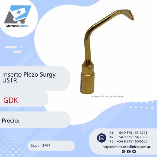 [8767] Inserto Piezo Surgy US1R - GDK