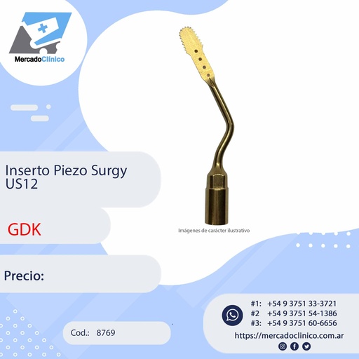 [8769] Inserto Piezo Surgy US12 - GDK