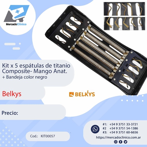 [KIT00057] Kitx5 Instrumentos de Composite + Bndeja - Belkys 