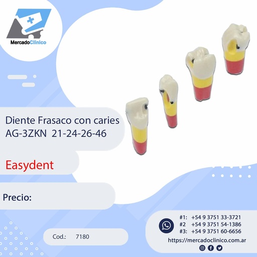 [7184] Diente Frasaco con caries AG-3ZKN  21-24-26-46 - Easydent