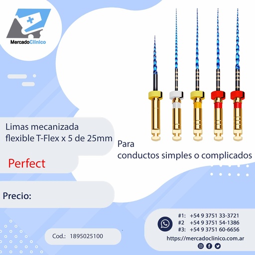 [1895025100] Limas mecanizada  flexible T-Flex x 5 de 25mm - Perfect